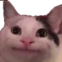 cat Discord Emoji