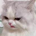 angery_disappointment