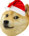ChristmasDoge