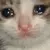 sadcat sadcat