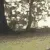 hoodtramp_0_4