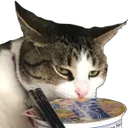 Ramen Cat Discord Emoji