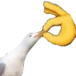 shut