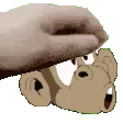 petmonke