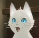 Catshock CatShock Discord Emoji