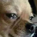 1kero_llorar