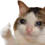 Sadcat1 sadcat1 Discord Emoji