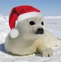 SantaSeal