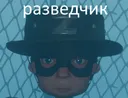 scout