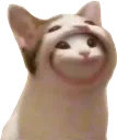 SCbopINSIDE SCbopINSIDE