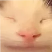 gae