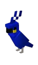 parrot