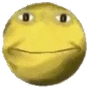 frbounce