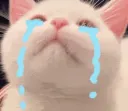 CatCry2