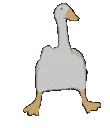 gooseshuffle