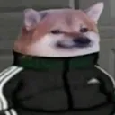 slavdoge