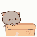 Cats Discord emoji
