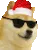 xmasdoge