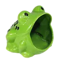 Frogchamp Discord Emoji