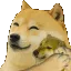 dogehug