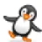 penguin penguin