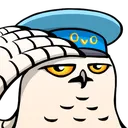 owl_ovo_kamrad