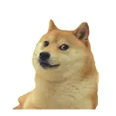 doge Discord Emoji