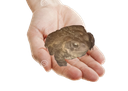 hereyoumightneedthis Discord emoji