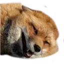 Happy2 happy2 Discord Emoji