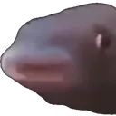 Unpog