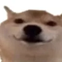 dOgE