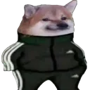 supdoge supdoge