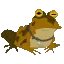psychfrog