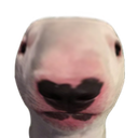 CFwalterhead Discord emoji