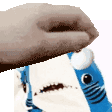 petshark