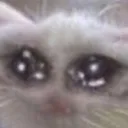despair