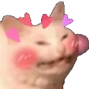 cuteblushingkitty