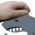 sharky