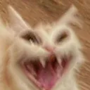 AAAAA_AAAAA_AAA