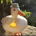 pato_cool pato_cool