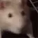 ratdance