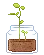 sproutplant