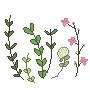PlantSproutsDecor2