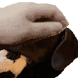 PetDexter