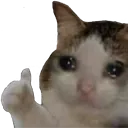 Cat Thumbsup cat_thumbsup Discord Emoji