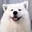dog_ears