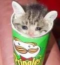 4mi_uhyouwantprinhgle
