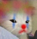 4mi_catclown