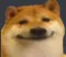 dogewar