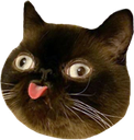 :derpbleb: